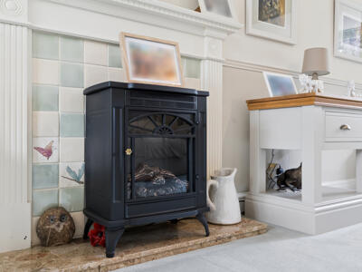 Picture 8